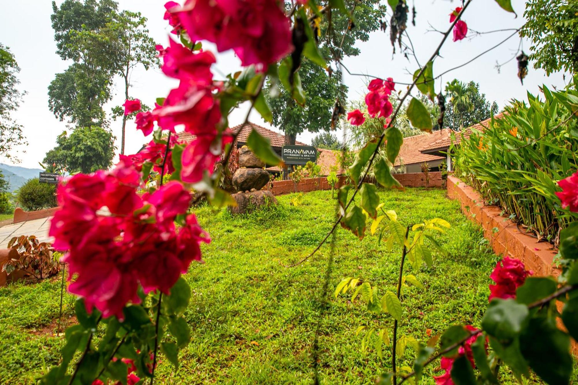 Pranavam Resort & Spa Tariyod Ngoại thất bức ảnh