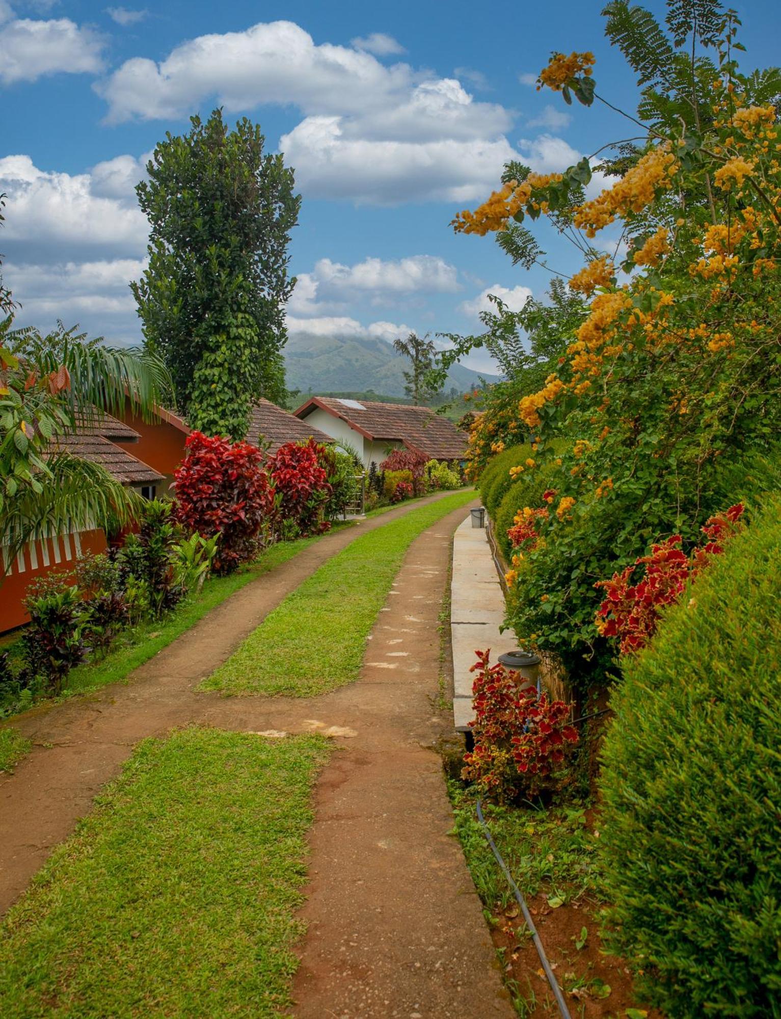 Pranavam Resort & Spa Tariyod Ngoại thất bức ảnh